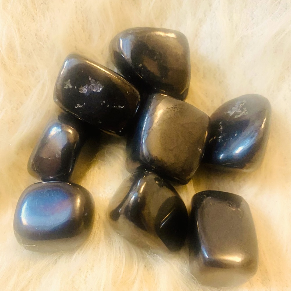 Shungite 8 piece Tumbled Stones (New)